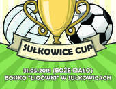 Sułkowice CUP