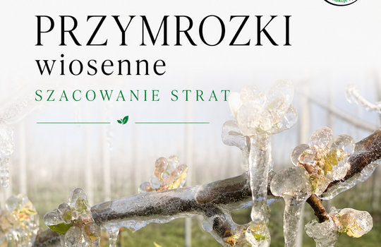 PRZYMROZKI WIOSENNE - WNIOSKI O OSZACOWANIE SZKÓD